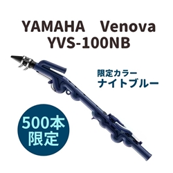 YAMAHA　YVS-100NB