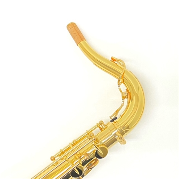 YANAGISAWA T-WO10: サックス｜山野楽器｜管楽器オンラインショップ