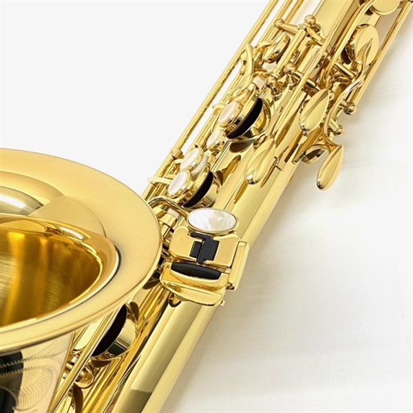 YANAGISAWA T-WO10: サックス｜山野楽器｜管楽器オンラインショップ