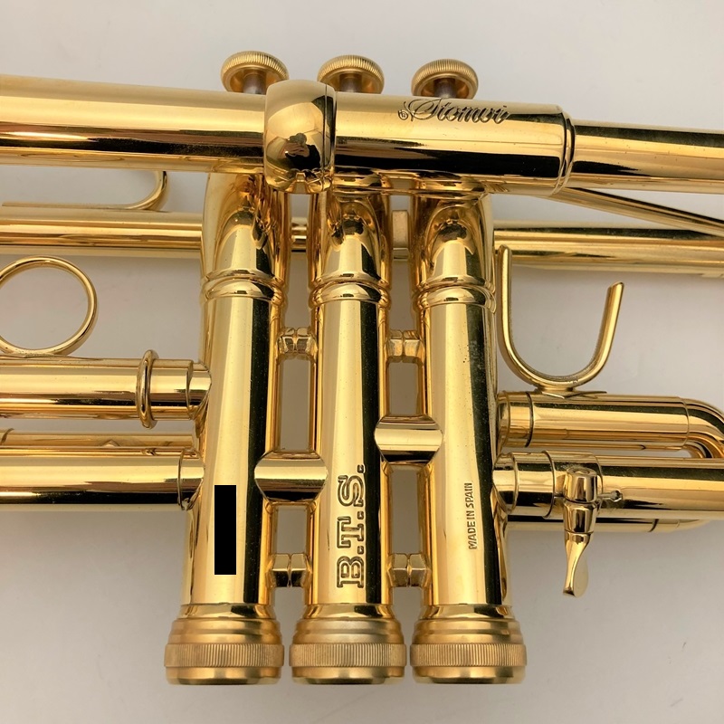 Stomvi トランペット S3 ブラッシュド サテン ラッカー ストンビ S3 Bb Trumpet - Stomvi USA